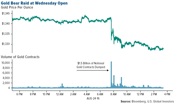 Gold Bear Raid at Wednesday Open
