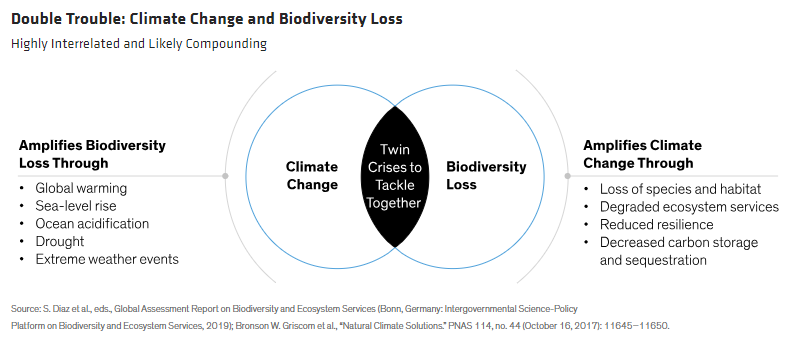 Double Trouble Climate Change and Biodiversity Loss
