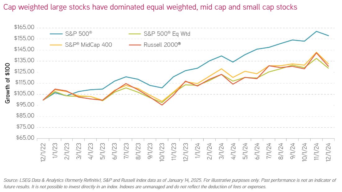 cap weighted