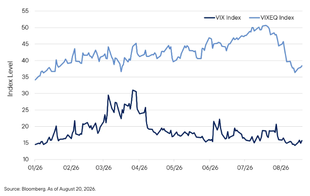 muted-index-volatility
