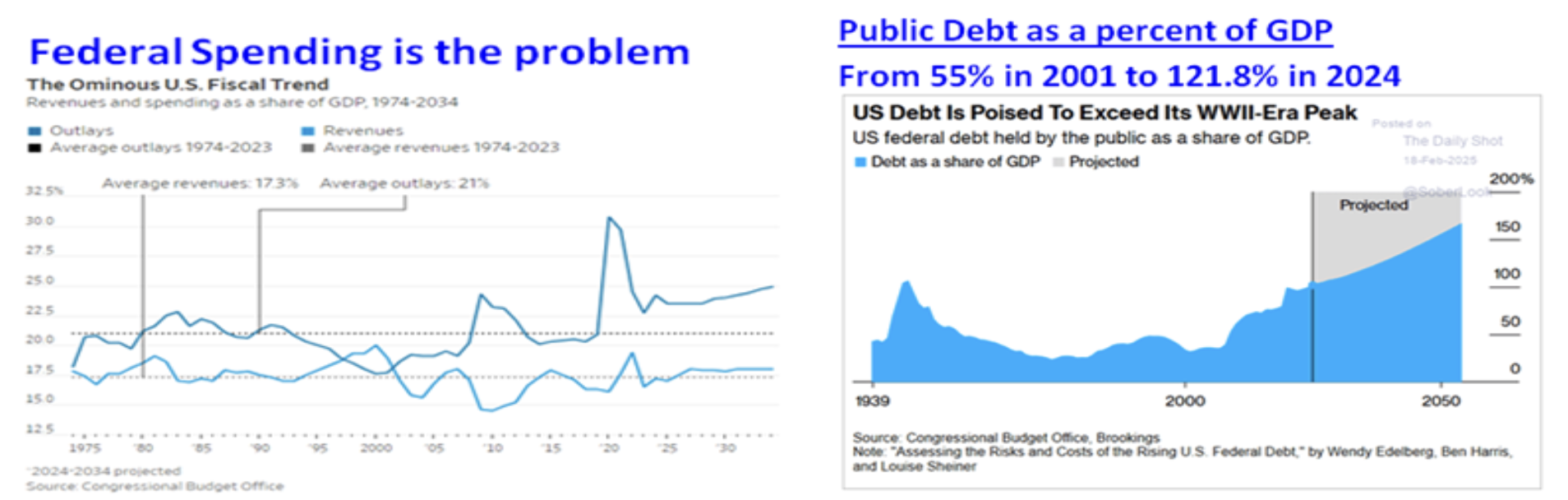 Public Debt