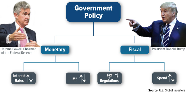 government policy