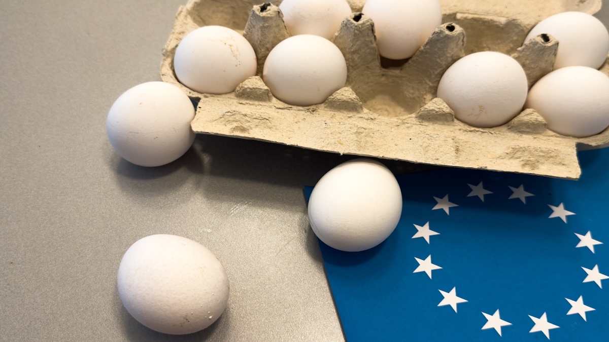 Higher Inflation Tests Fed and Markets