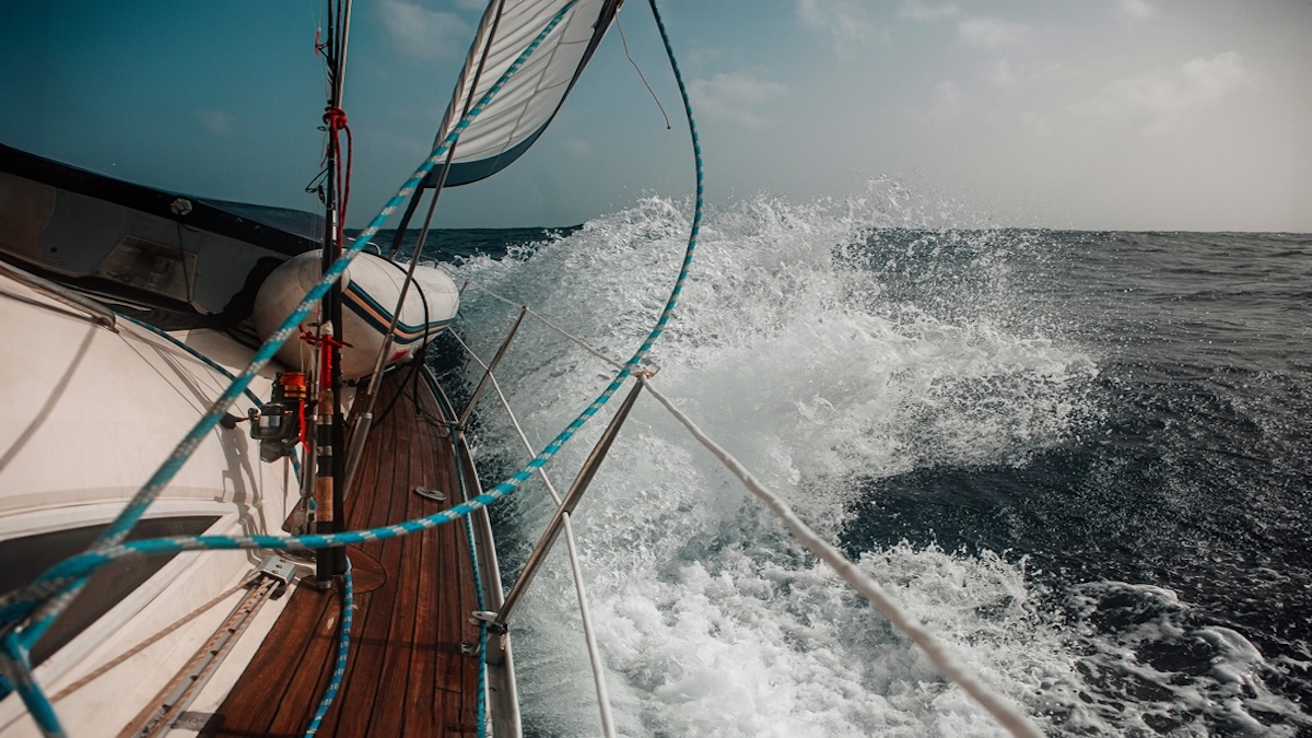 Bargain Hunters, AI Bets, and CEO Confidence: Navigating the Final Wave of Q2 Earnings