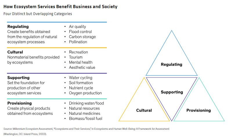 How Ecosystem Services Benefit Business and Society